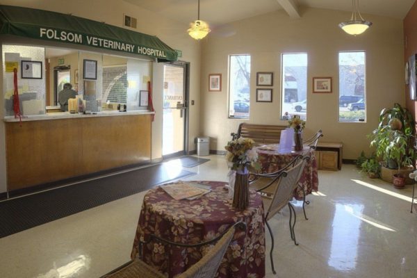 folsom-vet-hospital-3390-1300x80